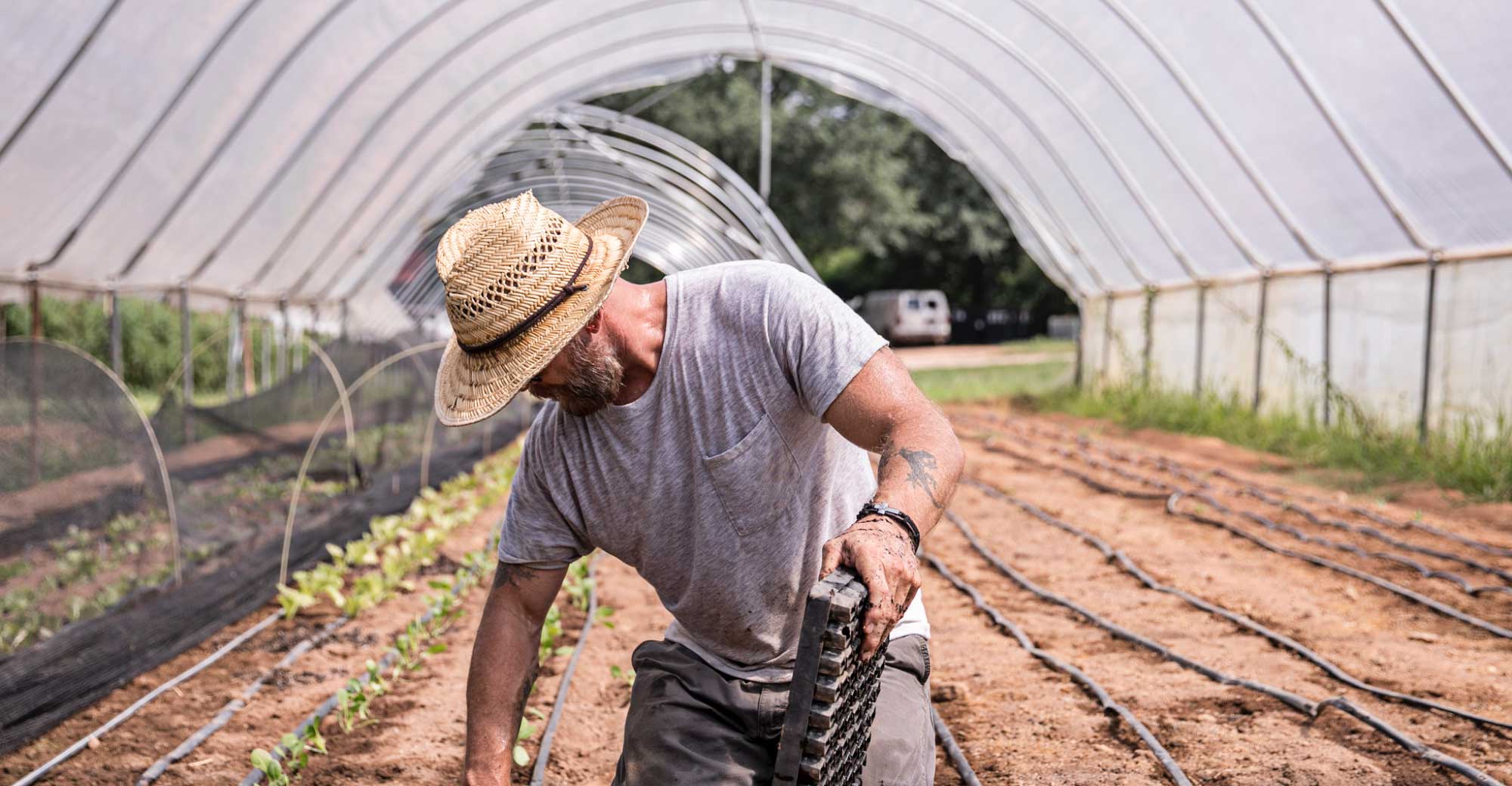 Real farmer farming real food